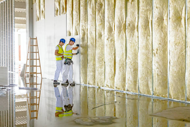 Best Insulation for Specific Applications in Kaunakakai, HI